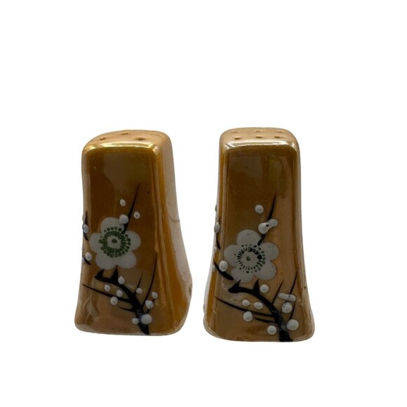 Vintage Ceramic Lusterware Salt & Pepper Shakers With Handpainted Floral - Picture 9 of 11